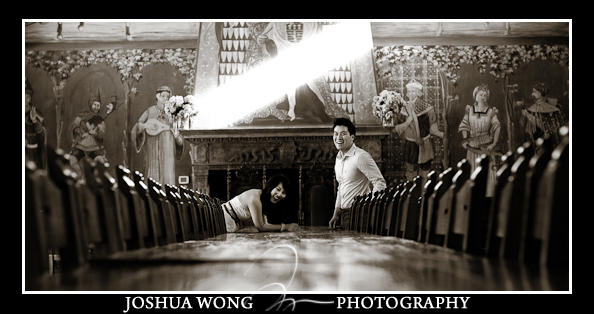 CASTELLO DI AMOROSA engagement pictures by SF Wedding photographer Josh Wong Photography 