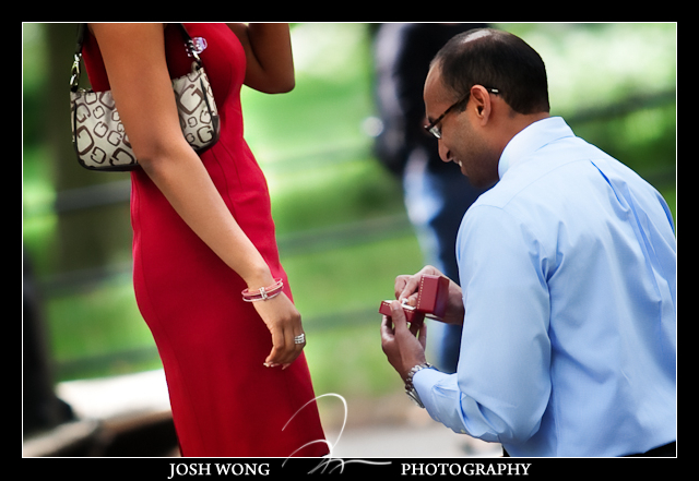 A intimate marriage proposal at The Mall in Central Park by top NY elopement and engagement photographer Josh Wong Photography