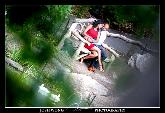 A intimate marriage proposal at The Mall in Central Park by top NY elopement and engagement photographer Josh Wong Photography