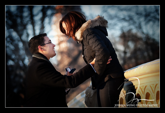 A winter engagement proposal at Bow Bridge in Central Park. photos by top NY wedding photographer Josh Wong Photography. new york engagement photographer