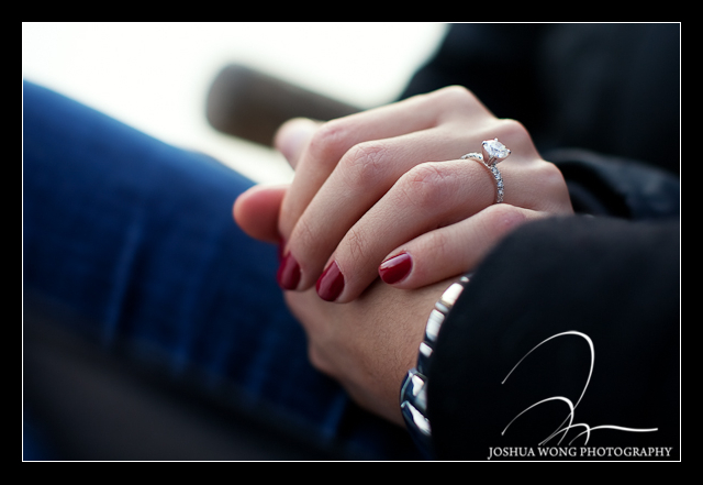 winter proposal central park