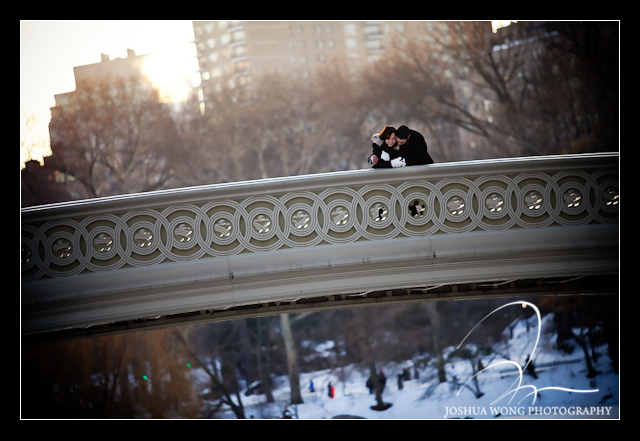 winter proposal central park