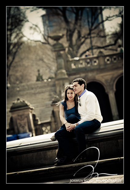 Bow Bridge Proposal in Central Park