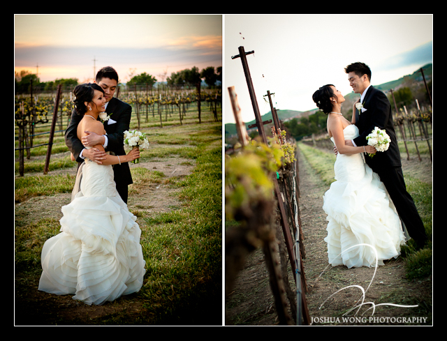 The signature Josh Wong Photography sunset shot at Casa Real Winery at Ruby Hill. wedding photos by  by top San Francisco Bay Area wedding photographer Josh Wong Photography