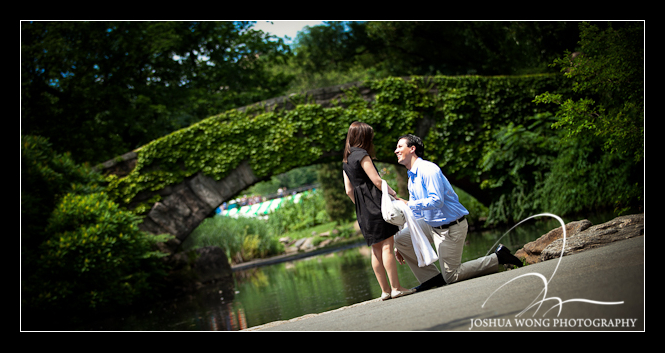 A Gapstow Bow marriage proposal in Central Park NY by New York wedding and engagement photographer Josh Wong Photography