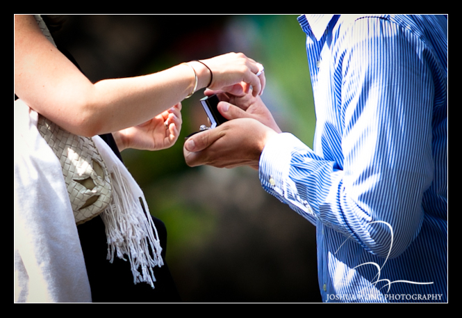 A Gapstow Bow marriage proposal in Central Park NY by New York wedding and engagement photographer Josh Wong Photography
