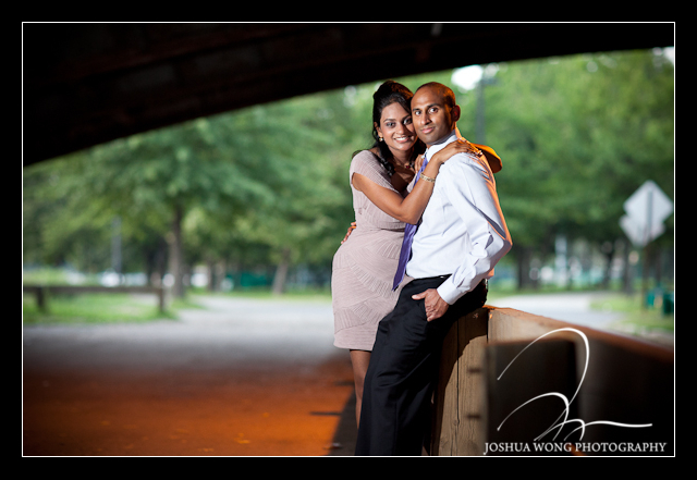 Engagement pictures in Boston Commons with top Boston Wedding Photographers Josh Wong Photography