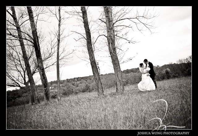 Tyler State Park, PA wedding bridal party photos by top Philly wedding photographer Josh Wong Photography