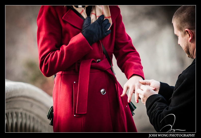 A Central Park Bow Bridge surprise marriage proposal by top NYC wedding photographer Josh Wong Photography