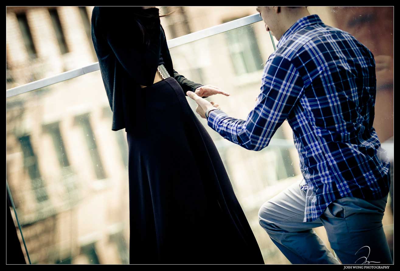 The High Line marriage proposal