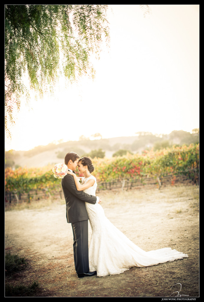 With the beautiful sunset, the rolling Napa Valley hills and the vineyards in the background Grace and Kevin  hard their wedding at The Palm Events Center Wedding in Pleasanton, CA - wedding pictures by Josh Wong Photography