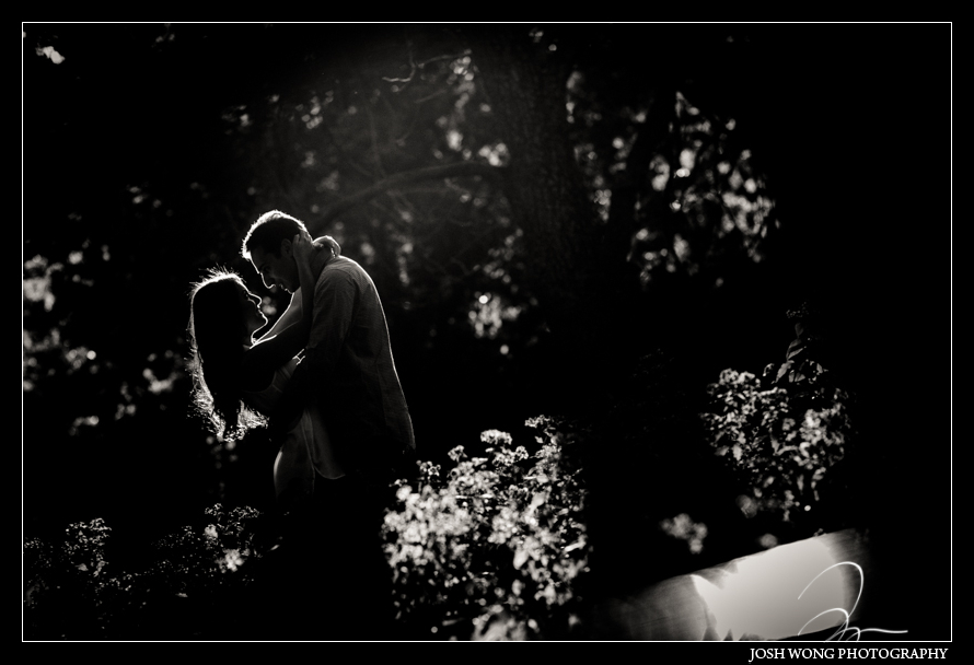 Bethesda Terrace and Fountain in Central Park NY by NYC Top wedding photographer Josh Wong Photography