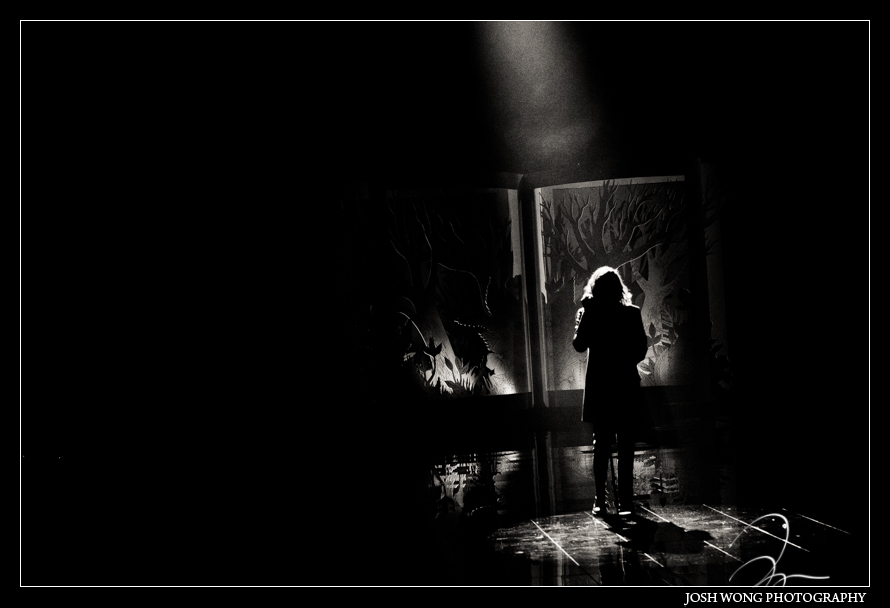 Hozier performs at the 2014 Victoria's Secret Fashion Show in London. photo by Josh Wong Photography