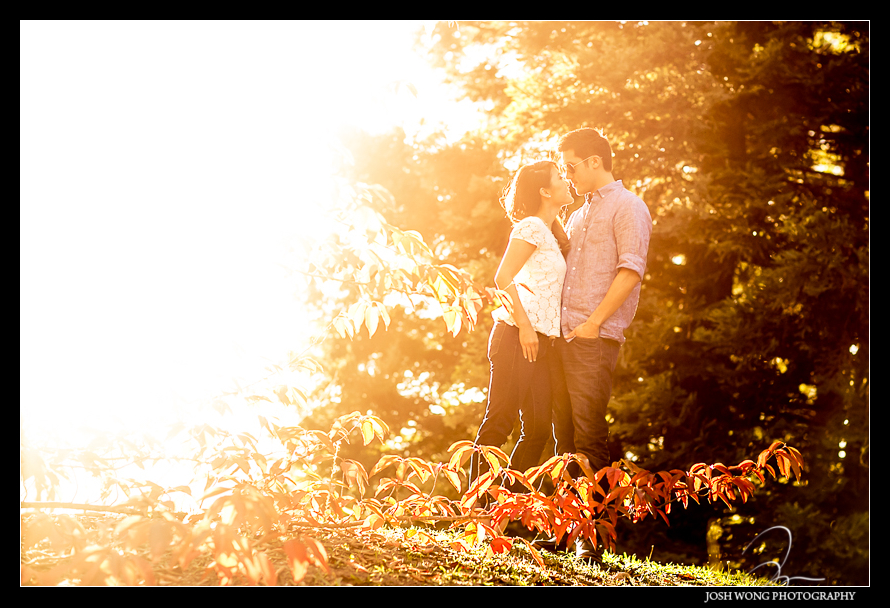 Sunset photography at Sonoma Botanical Garden