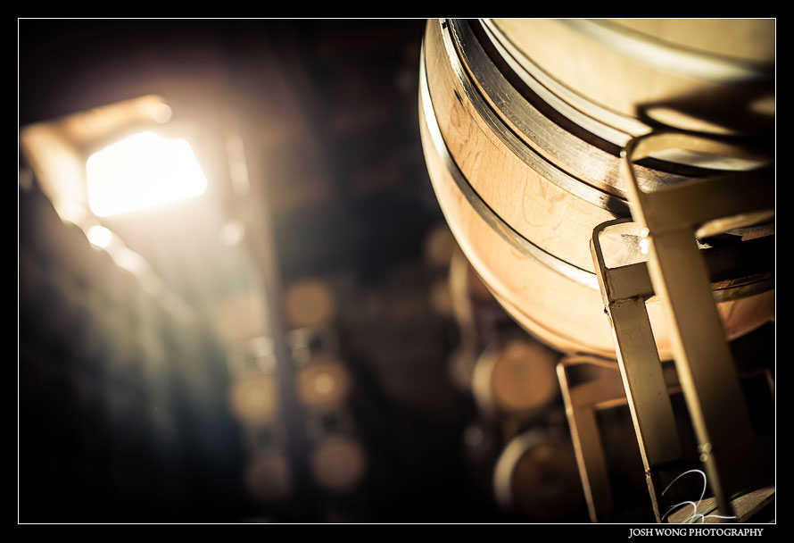 A Silverado Vineyard Winery, Napa Valley, CA  Engagement Photo Session with Josh Wong Photography