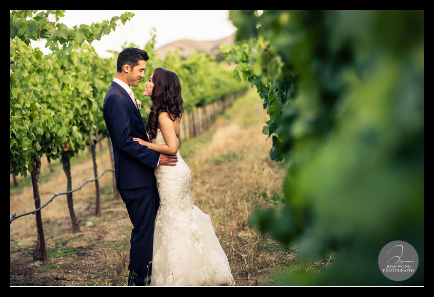 Erika and Kevin's elegant wedding at Casa Real at Ruby Hill Winery. wedding pictures by Josh Wong Photography