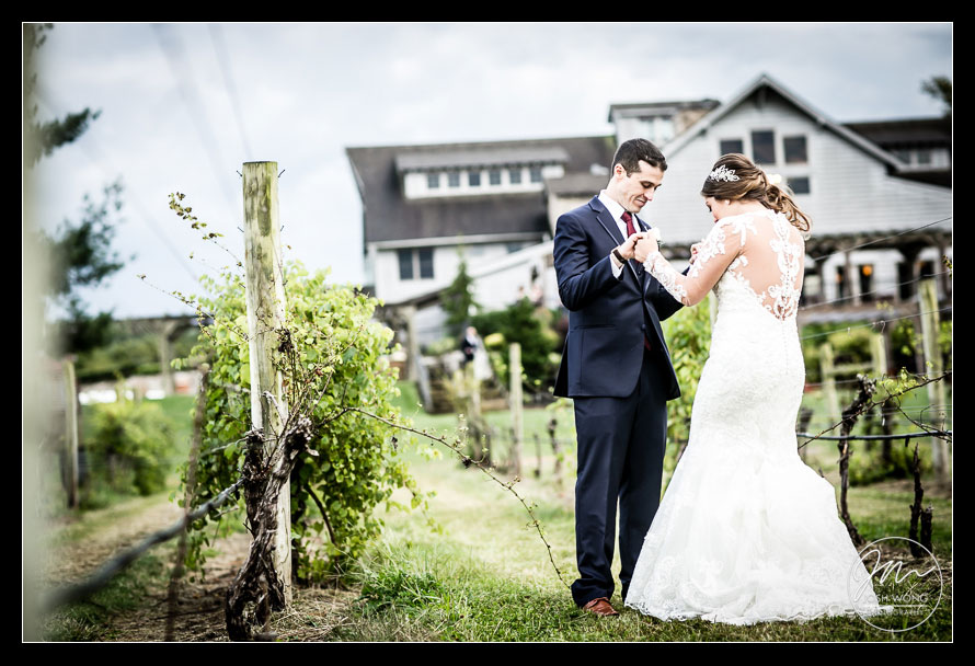 Laurita Winery wedding pictures