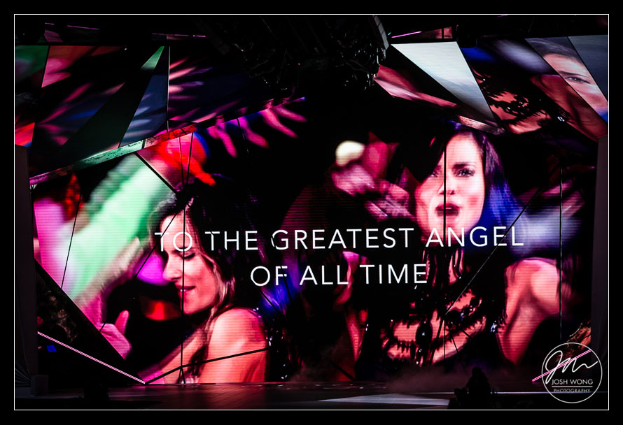Victoria's Secret Fashion Show Featured a special tribute to Adriana Lima as this was the model's last show.