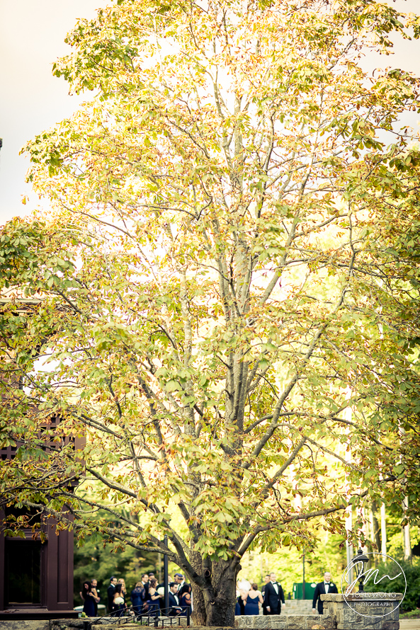 The Le Chateau Wedding in South Salem, New York Wedding Pictures by Josh Wong Photography
