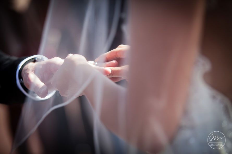 Central Park Bethesda Fountain Wedding NYC Wedding - Pictures by Top New York Wedding Photographer Josh Wong Photography