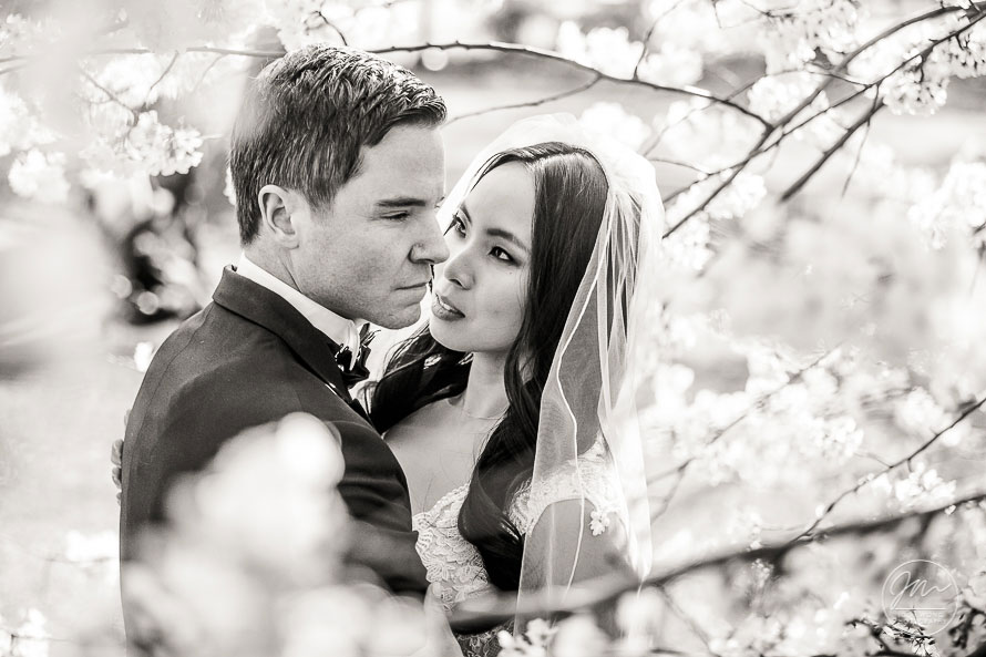 Central Park Bethesda Fountain Wedding NYC Wedding - Pictures by Top New York Wedding Photographer Josh Wong Photography