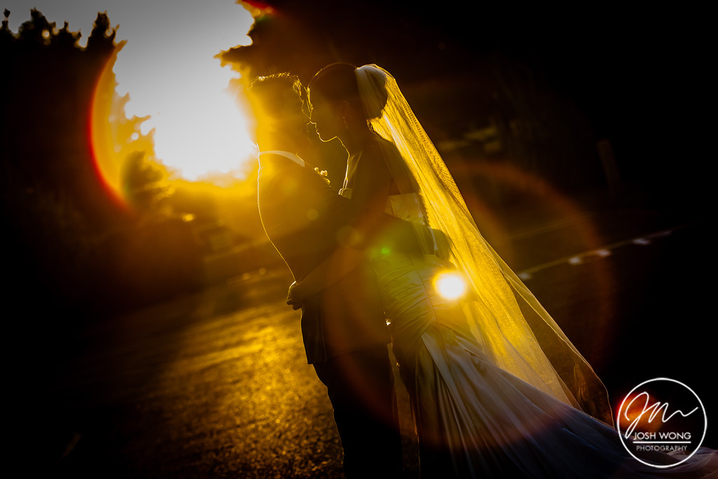 Grounds for Sculpture Museum New Jersey Wedding. Wedding pictures by New Jersey Wedding Photographers Josh Wong Photography