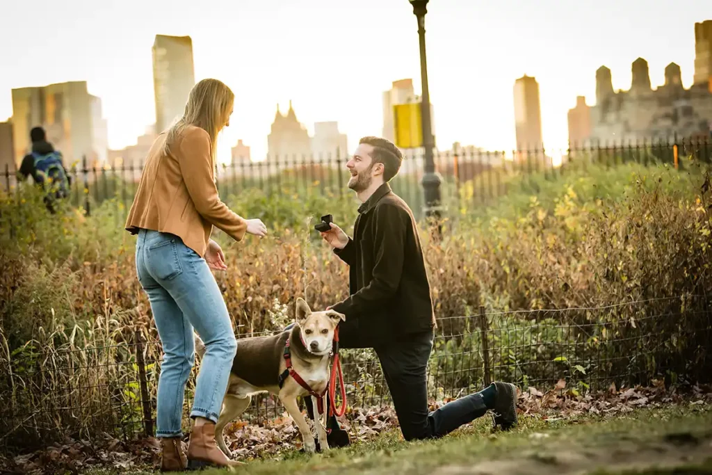 A sweet Autumn and Fall engagement and marriage proposal in Central Park.