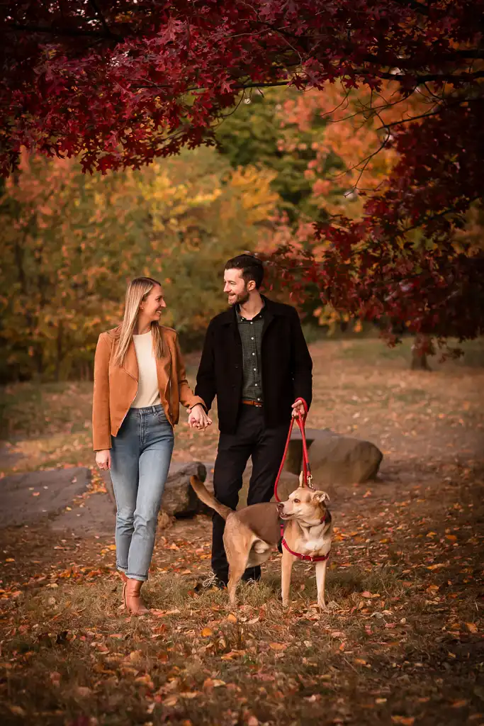 Autumn engagement photos in Central Park. photo taken by NYC wedding photographer Josh Wong