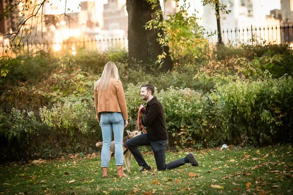 The beautiful reactions of a fall sunset engagement proposal in the Upper West Side in Central Park. 
